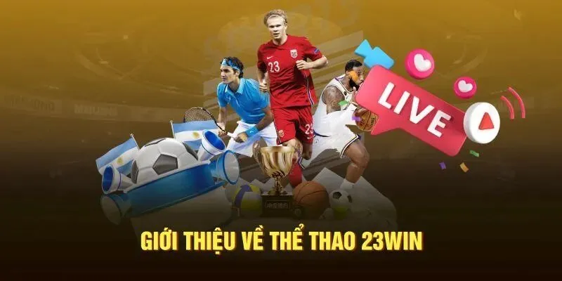 Đôi nét về thể thao 23Win cho newbie