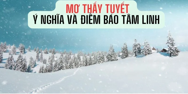Mơ Thấy Tuyết - Giải mã Chi Tiết Giấc Chiêm Bao Tại 23Win